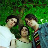 The Cribs
