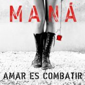 Amar es Combatir 